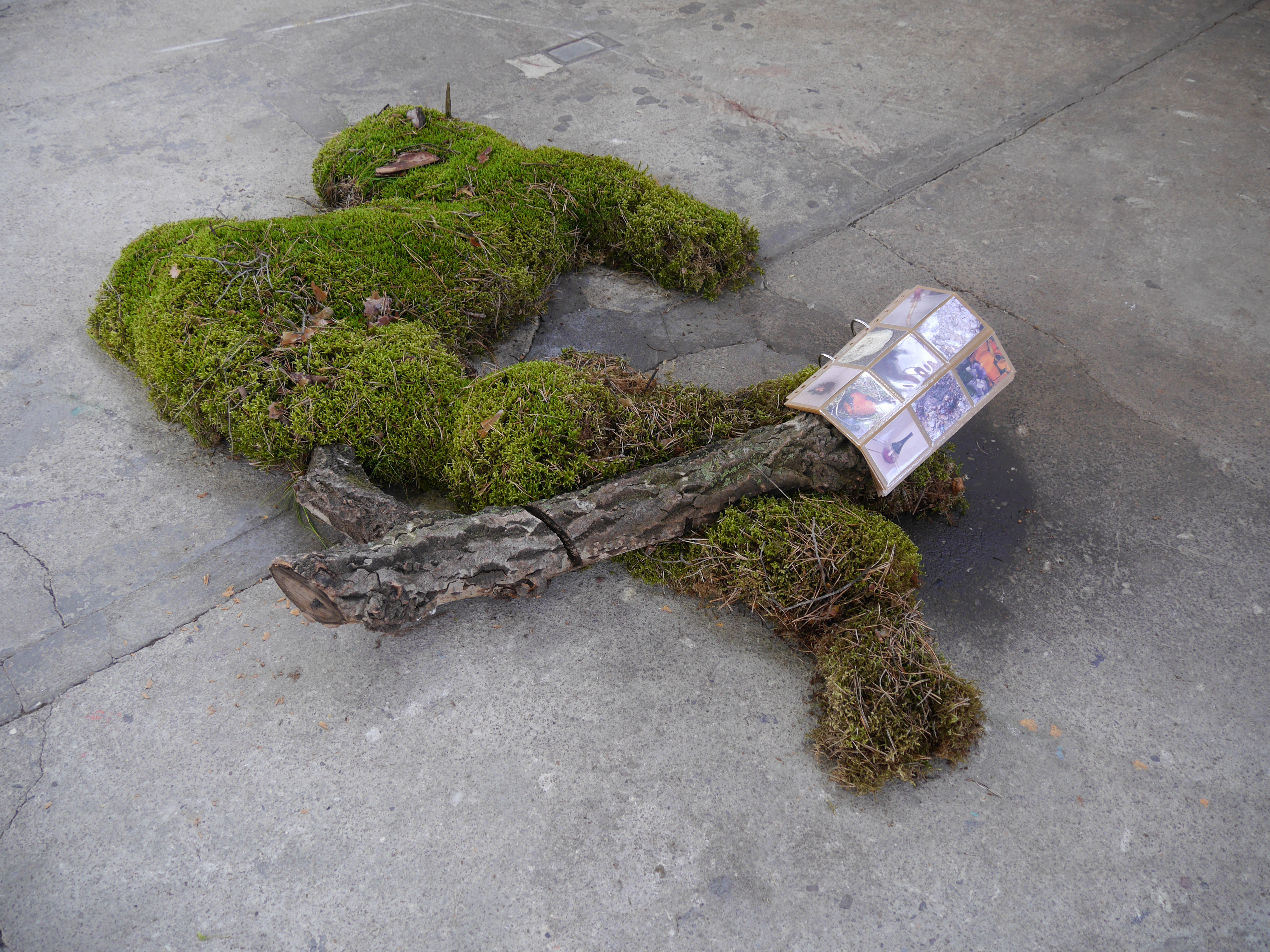 2019 05 Cursed Images, C Rockefeller, Dresden — Folder (Detail) 2019 By Johanna Blank(1) — Jeronim Horvat